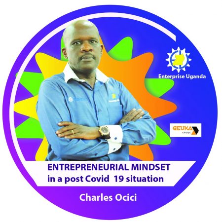 Entrepreneurial Mindset in a Post COVID-19 Situation
